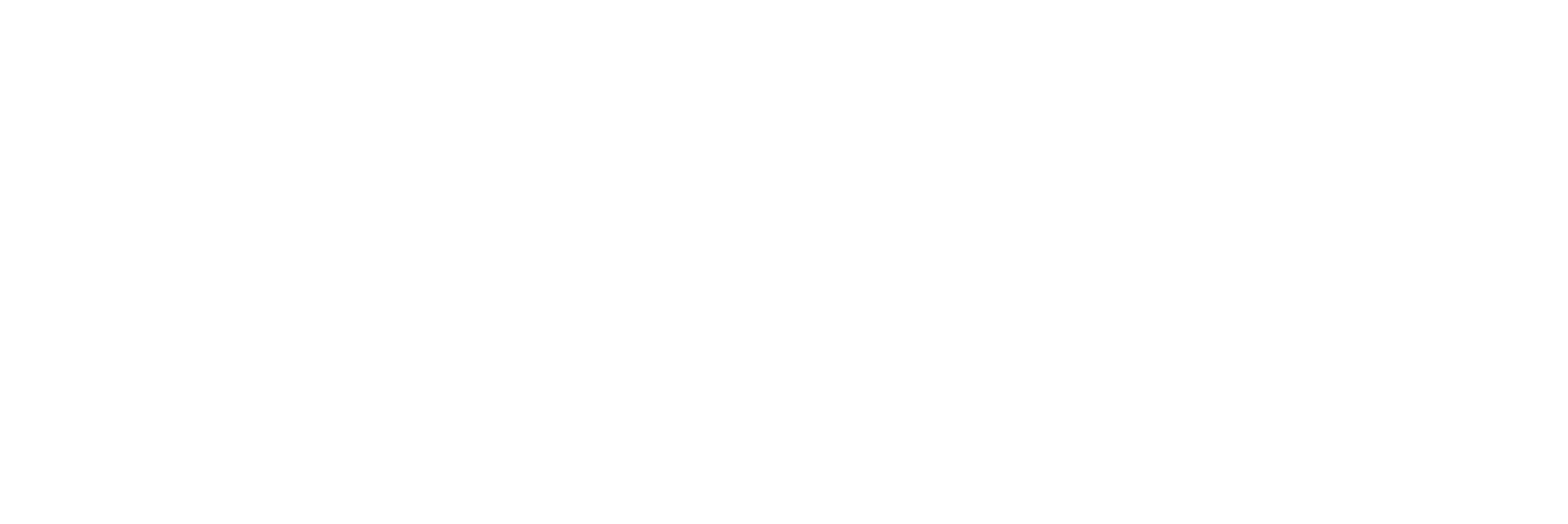 bifa必发LOGO-横版_03